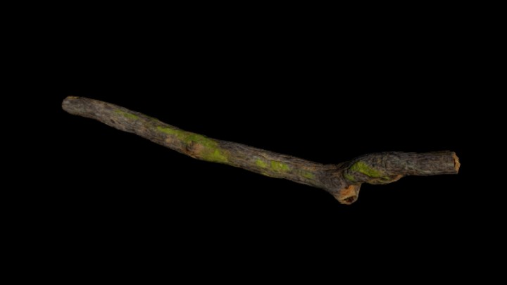 UE项目资源_模型资源_树枝190