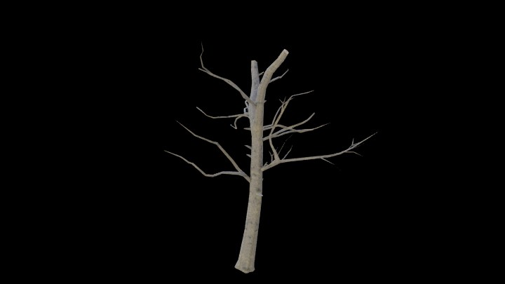 UE项目资源_模型资源_树枝217