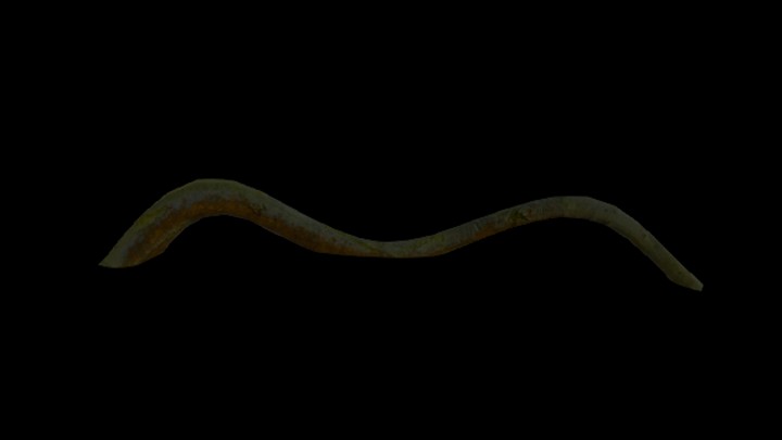 UE项目资源_模型资源_树根036