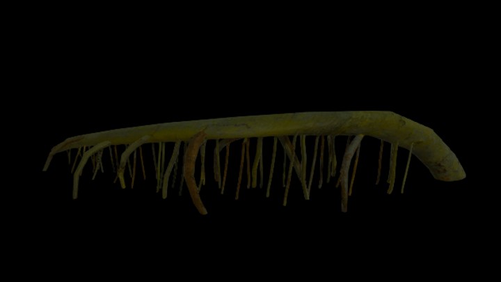 UE项目资源_模型资源_树根037