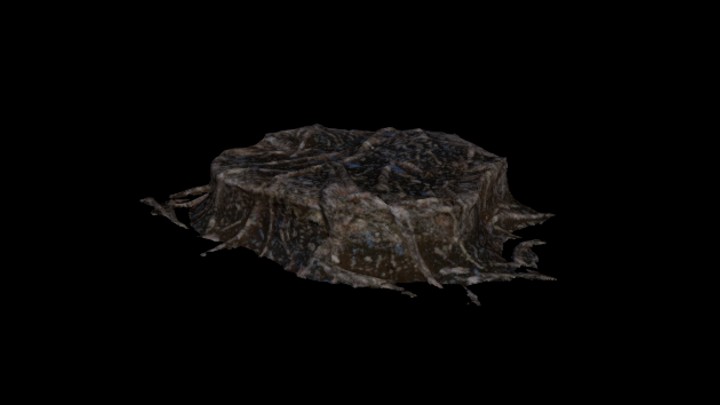 UE项目资源_模型资源_树根041