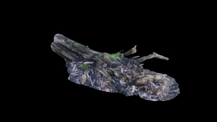 UE项目资源_模型资源_树桩074