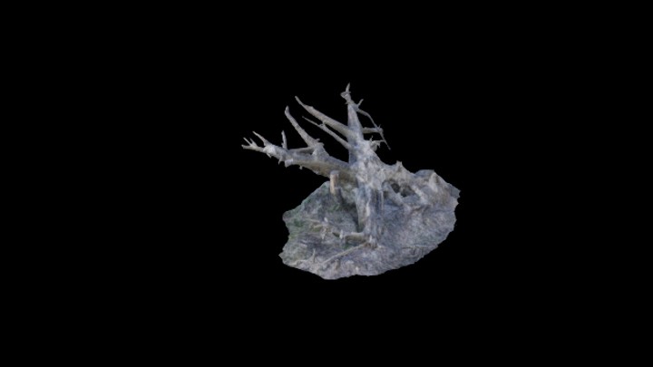 UE项目资源_模型资源_树桩078