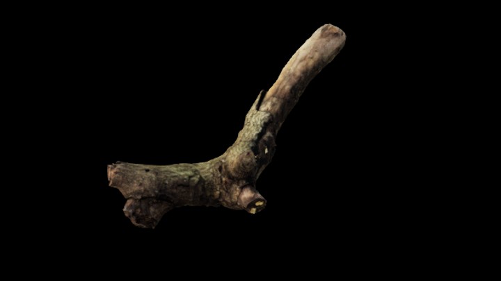 UE项目资源_模型资源_树桩099