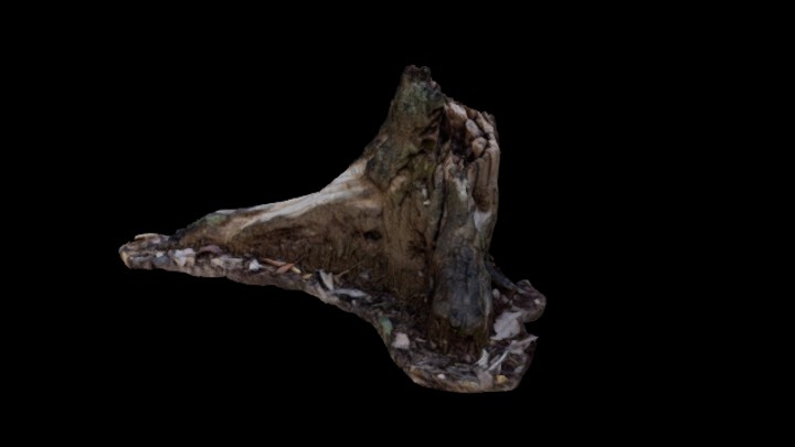 UE项目资源_模型资源_树桩105