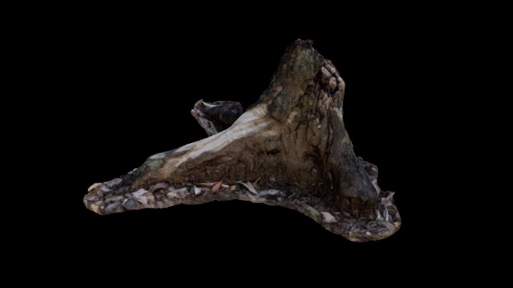 UE项目资源_模型资源_树桩106