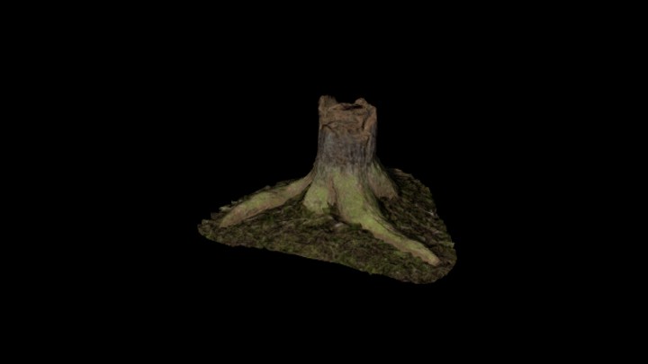 UE项目资源_模型资源_树桩108