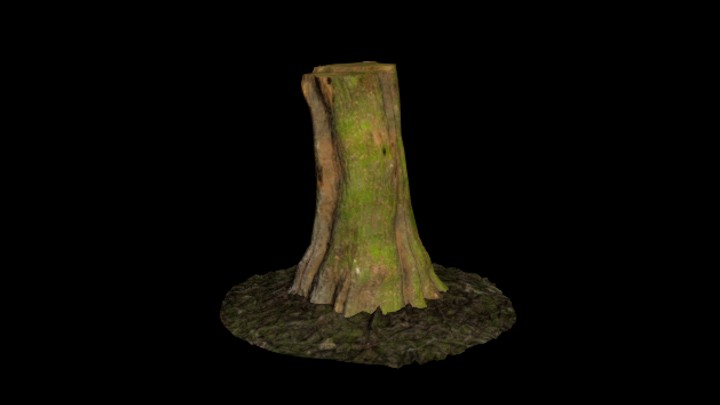 UE项目资源_模型资源_树桩110