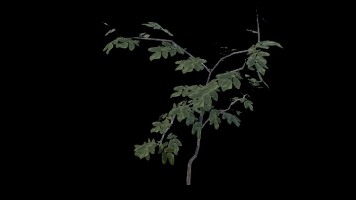 UE项目资源_模型资源_树苗040