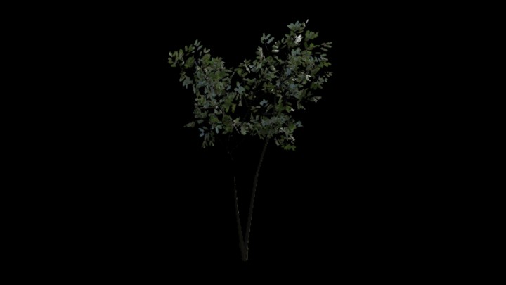 UE项目资源_模型资源_树苗047