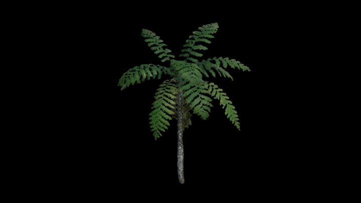 UE项目资源_模型资源_棕榈树068