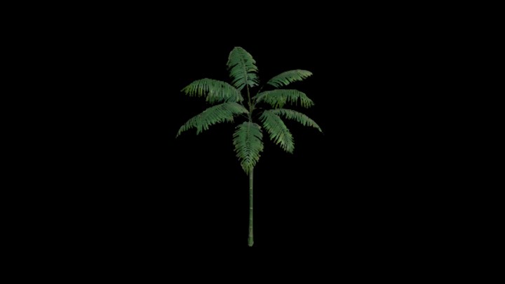 UE项目资源_模型资源_棕榈树072
