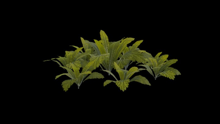 UE项目资源_模型资源_植物1507