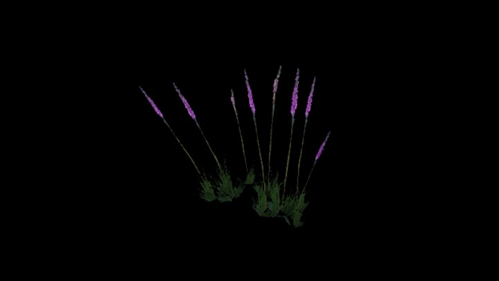 UE项目资源_模型资源_植物1517