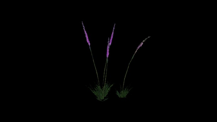 UE项目资源_模型资源_植物1518