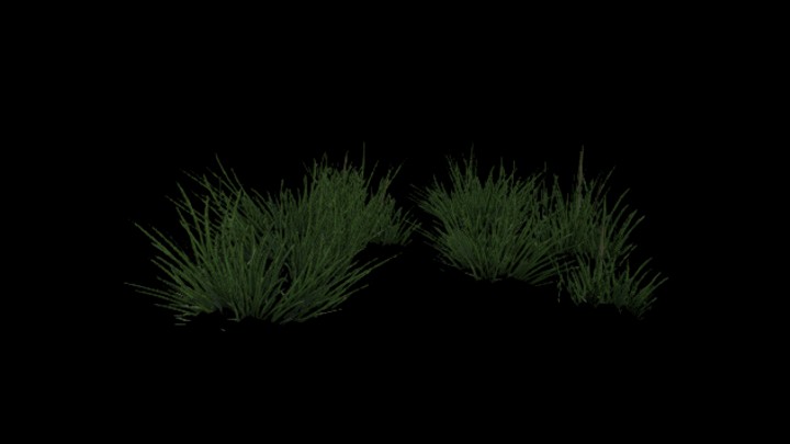 UE项目资源_模型资源_植物1530