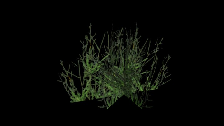 UE项目资源_模型资源_植物1534