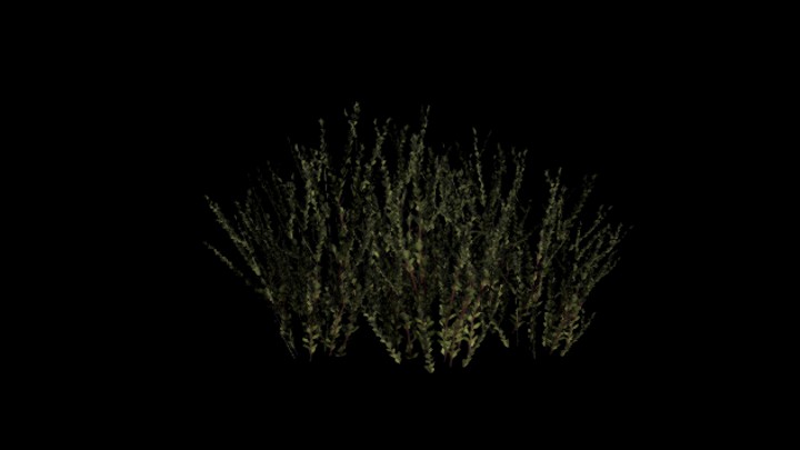 UE项目资源_模型资源_植物1539