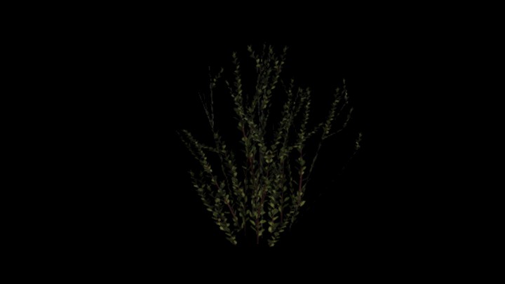 UE项目资源_模型资源_植物1540