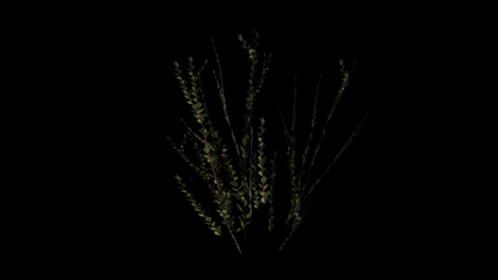 UE项目资源_模型资源_植物1541