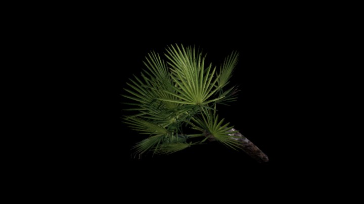 UE项目资源_模型资源_植物1563