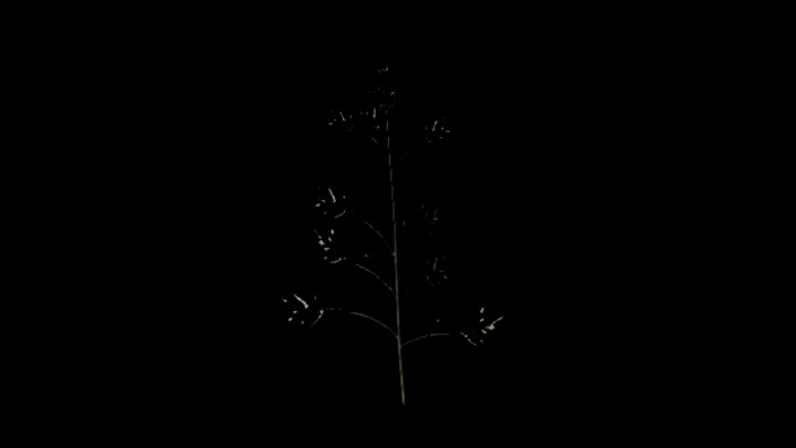 UE项目资源_模型资源_植物1569