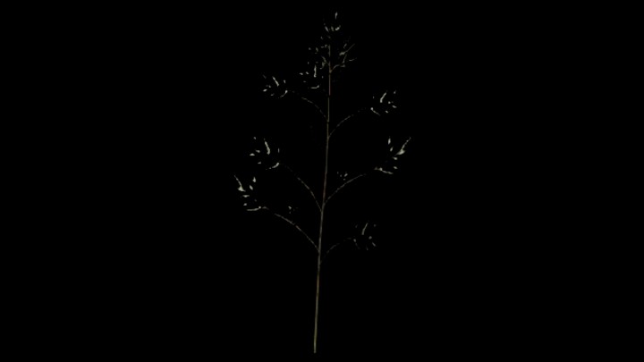 UE项目资源_模型资源_植物1570