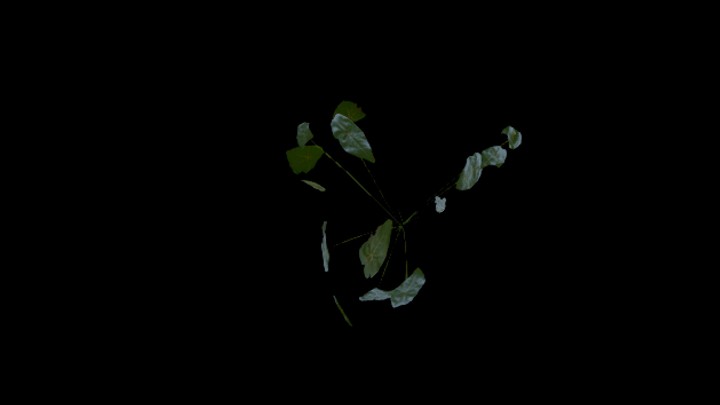 UE项目资源_模型资源_植物1601