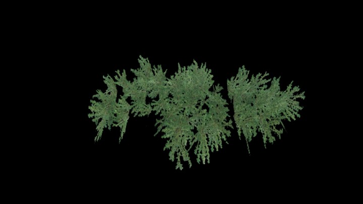 UE项目资源_模型资源_植物1607