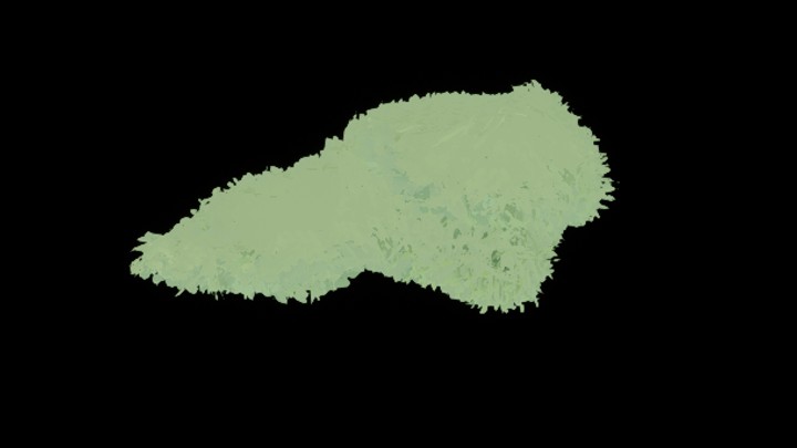 UE项目资源_模型资源_植物1618