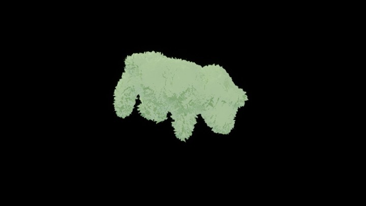 UE项目资源_模型资源_植物1622