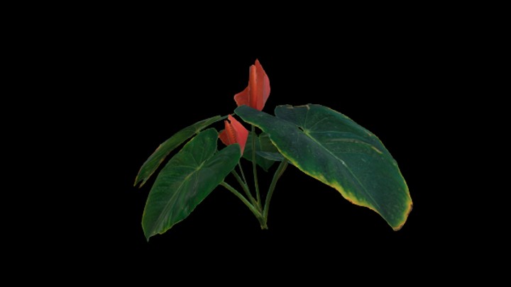 UE项目资源_模型资源_植物1626