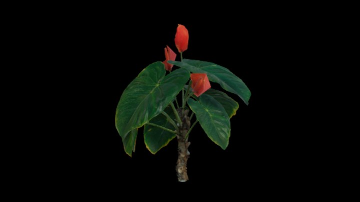 UE项目资源_模型资源_植物1627