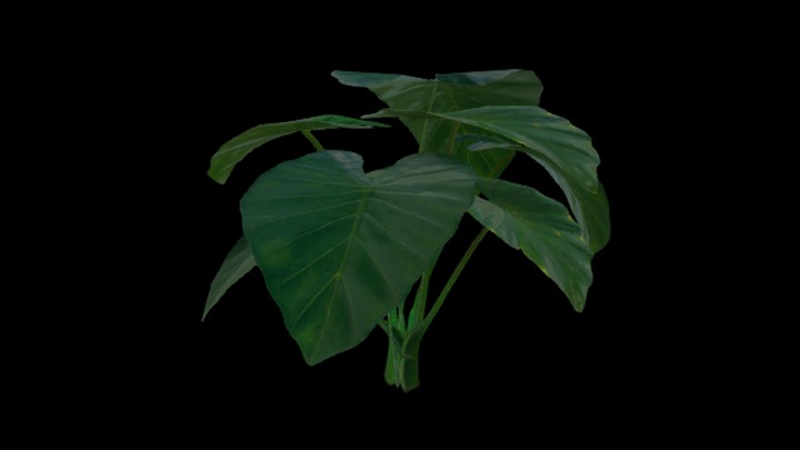 UE项目资源_模型资源_植物1632