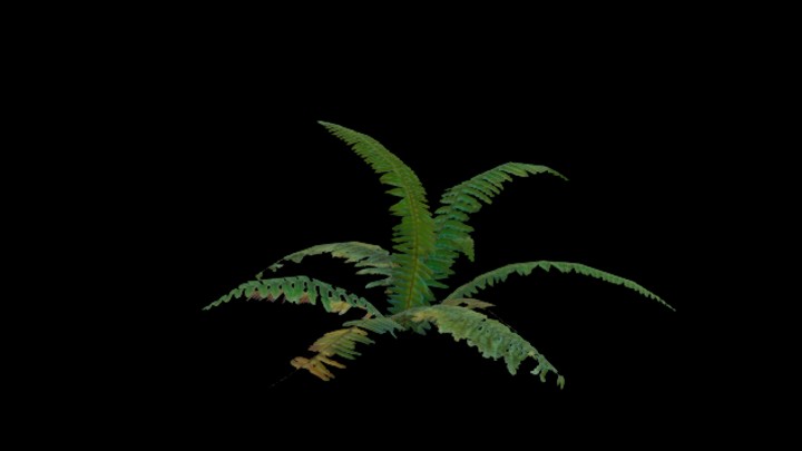 UE项目资源_模型资源_植物1639