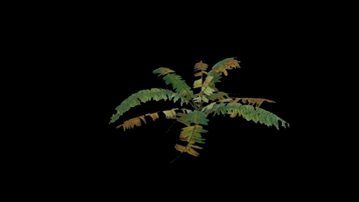 UE项目资源_模型资源_植物1642