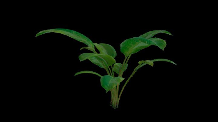 UE项目资源_模型资源_植物1659