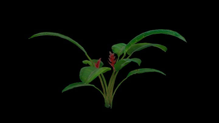 UE项目资源_模型资源_植物1660