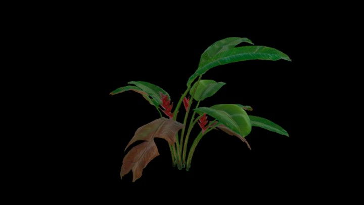 UE项目资源_模型资源_植物1662