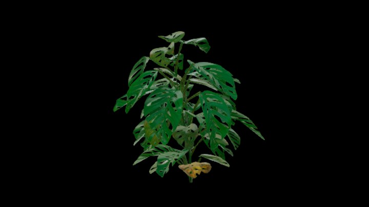 UE项目资源_模型资源_植物1668