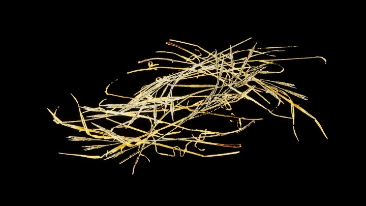 UE项目资源_模型资源_植物1696