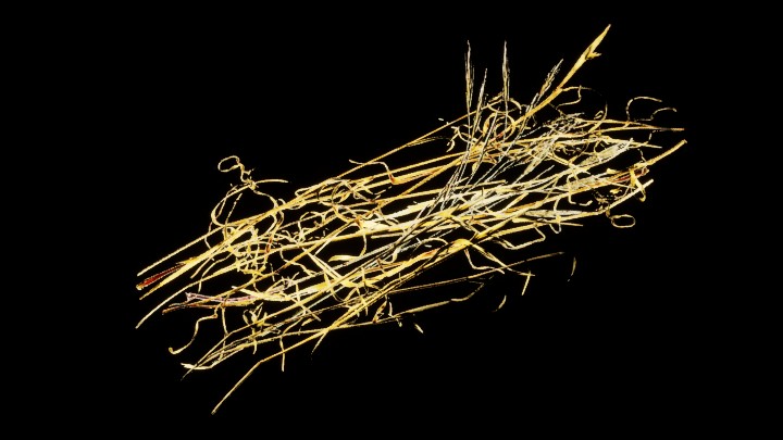 UE项目资源_模型资源_植物1698