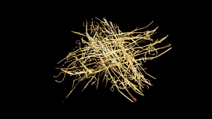 UE项目资源_模型资源_植物1699