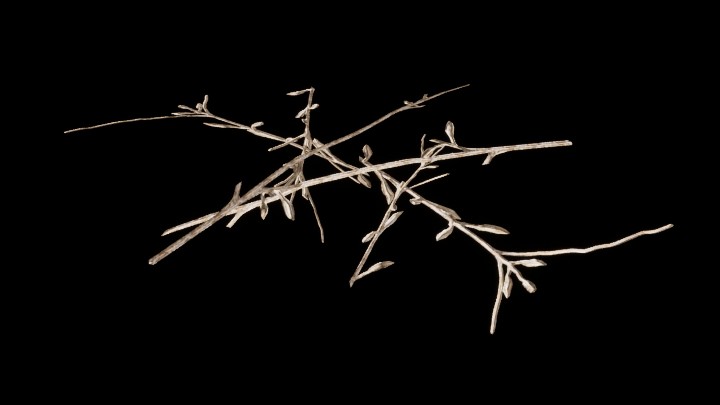 UE项目资源_模型资源_植物1712