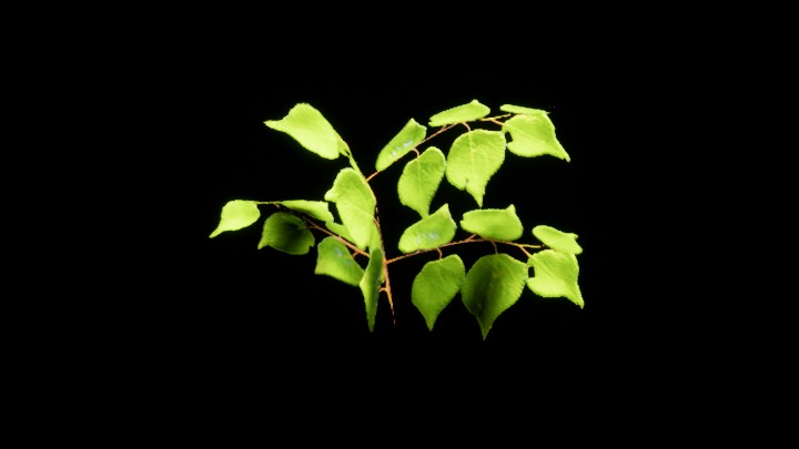 UE项目资源_模型资源_植物1724