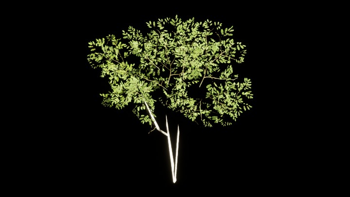 UE项目资源_模型资源_植物1742