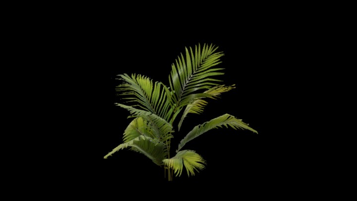 UE项目资源_模型资源_植物1747