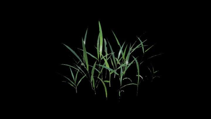 UE项目资源_模型资源_植物1768