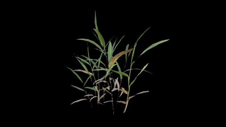 UE项目资源_模型资源_植物1800