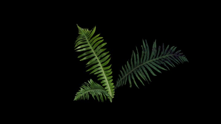 UE项目资源_模型资源_植物1802